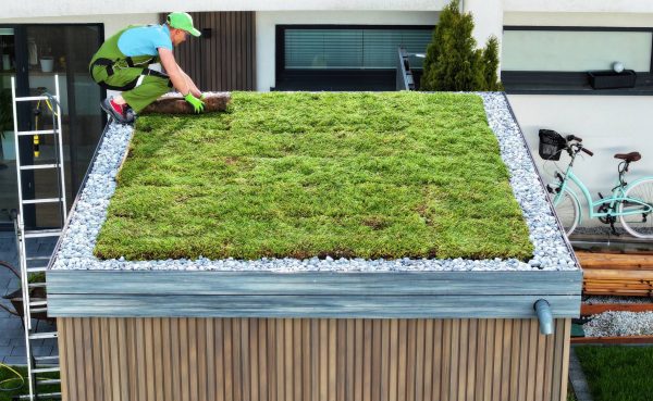 green-roof-image