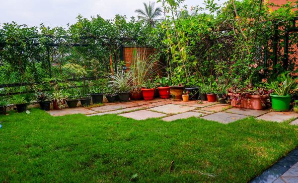 terrace-garden